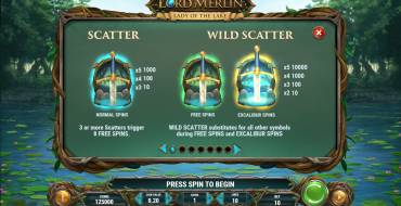 Lord Merlin and the Lady of the Lake: Regole