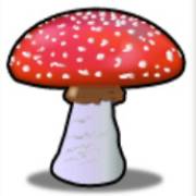 Lovely Lady: Agarico delle mosche