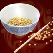 Lucky Casino: Cibo