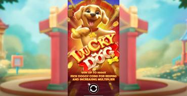 Lucky Dog: Caratteristiche uniche