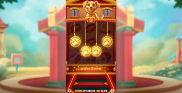 Lucky Dog: Caratteristiche uniche
