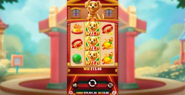 Lucky Dog: Vincite