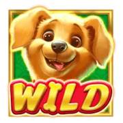Lucky Dog: Selvaggio
