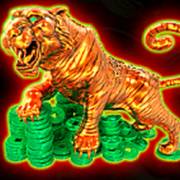 Lucky Dragons: Tigre