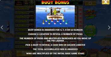 Lucky Larry`s Lobstermania Slingo: Caratteristiche uniche