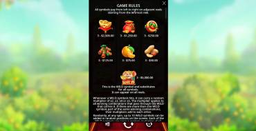 Lucky Mouse: Tabella dei pagamenti