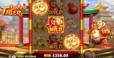 Lucky Tiger: Vincite