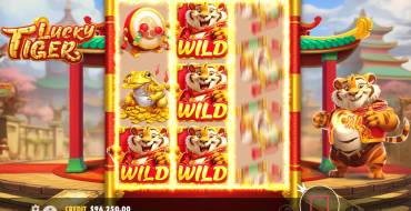 Lucky Tiger: Caratteristiche uniche