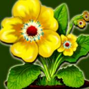 Lucky Wood: Fiore
