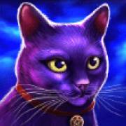 Madame Destiny Megaways: Gatto
