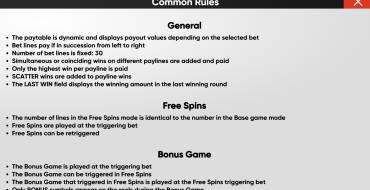 Magic Apple: Hold and Win: Regole