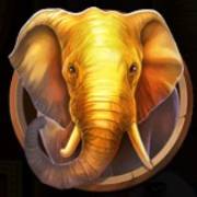 Majestic King Sunset: Elefante