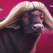 Majestic Megaways: bufalo