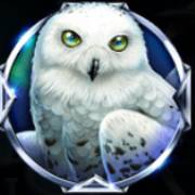 Majestic Winter: Gufo