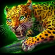 Mayan Blaze: Leopardo