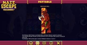 Maze Escape Megaways: Simboli speciali