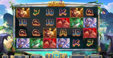 Medusa – Fortune and Glory: Interfaccia