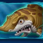 Mega Don: Squalo tigre