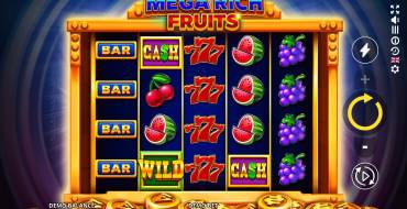 Mega Rich Fruits: Interfaccia