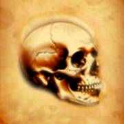 Mental 2: Cranio