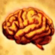 Mental: Cervello