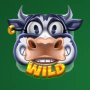 Milk the Cow Hold & Win: Selvaggio