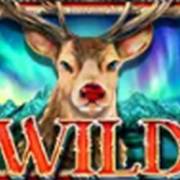 Million Christmas 2: Selvaggio