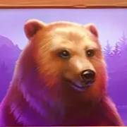Money Moose: Orso