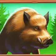 Money Moose: Cinghiale