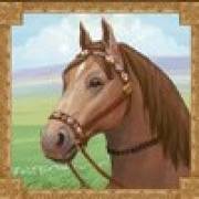 Mongol Treasures II: Archery Competition: Il nitrito del cavallo