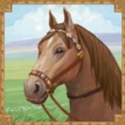 Mongol Treasures: Cavallo
