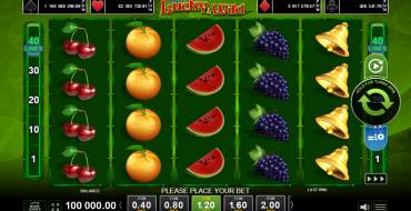 More Lucky & Wild: Slot machine