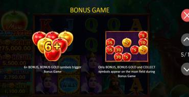 More Magic Apple: Hold and Win: Giochi bonus