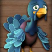 More Turkey: Tacchino blu