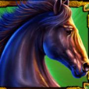 Mustang Gold: Cavallo nero
