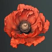 Mystery Garden: Il fiore è rosso