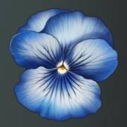 Mystery Garden: Fiore blu