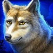 Mystic Chief: Lupo