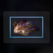 Mythic Wolf Sacred Moon: Piume