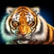 New Year Rising: Tigre