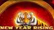 Slot New Year Rising