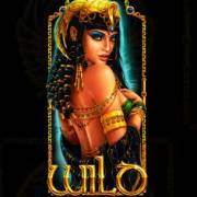 Nights of Egypt: Selvaggio