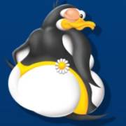 Northern Boom: Pinguino