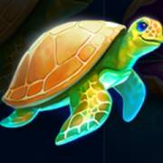 Pearl Diver 2: Treasure Chest: Tartaruga