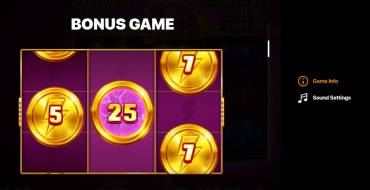 ​Pink Joker: Hold and Win: Giochi bonus