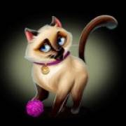 Posh Cats: Gatto russo