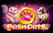 Slot Posh Cats