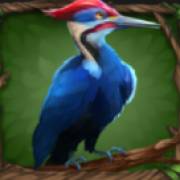 Primal Wilderness: Uccello