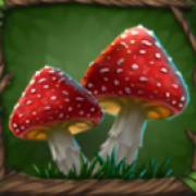 Primal Wilderness: Funghi