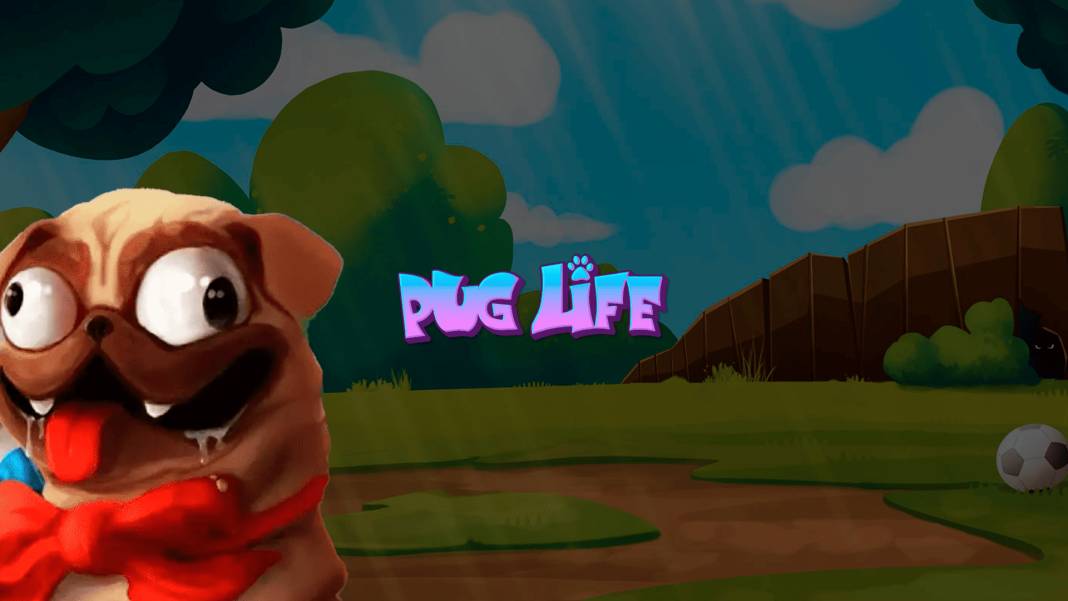Pug Life